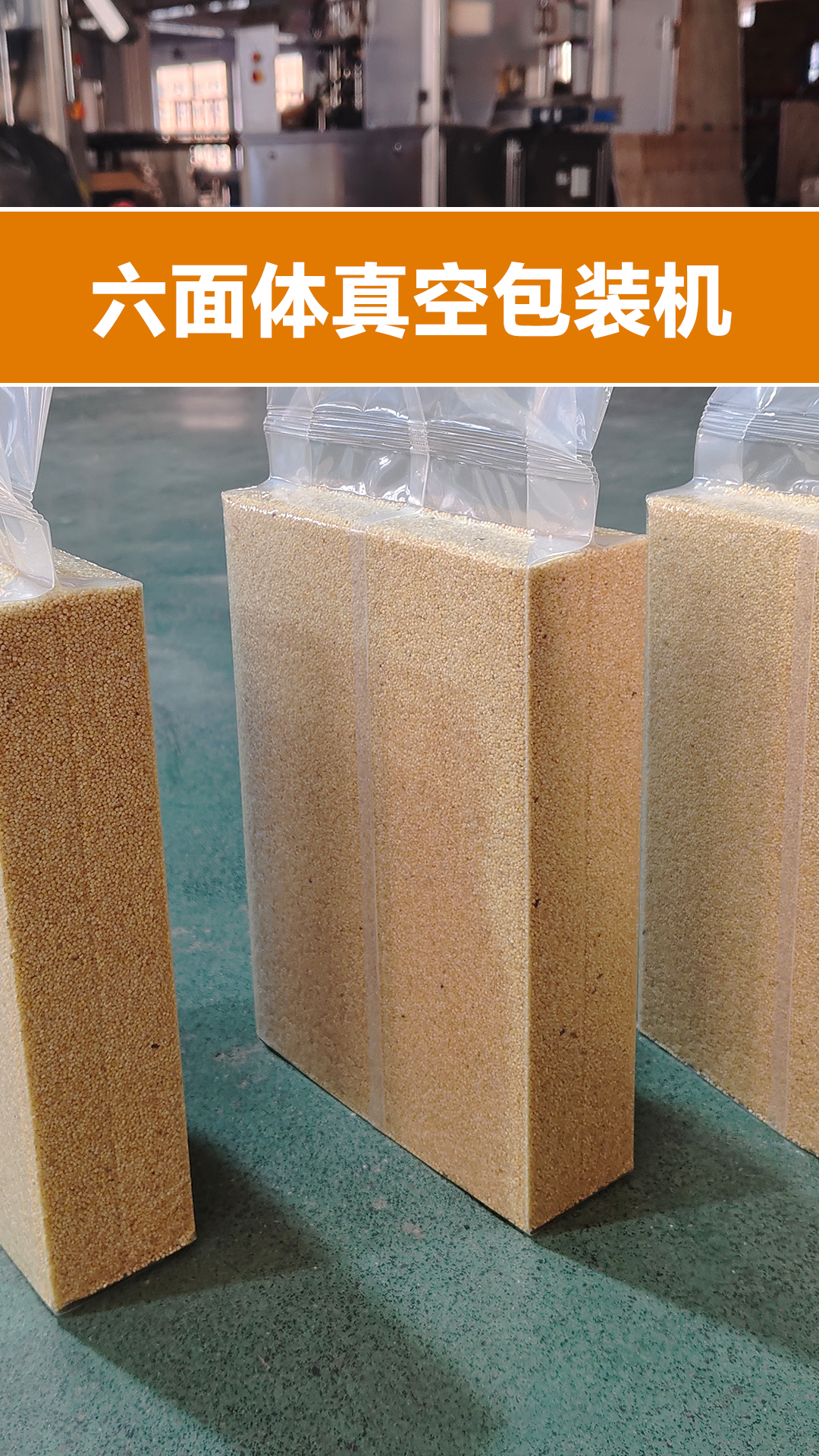 六面体真空包装机